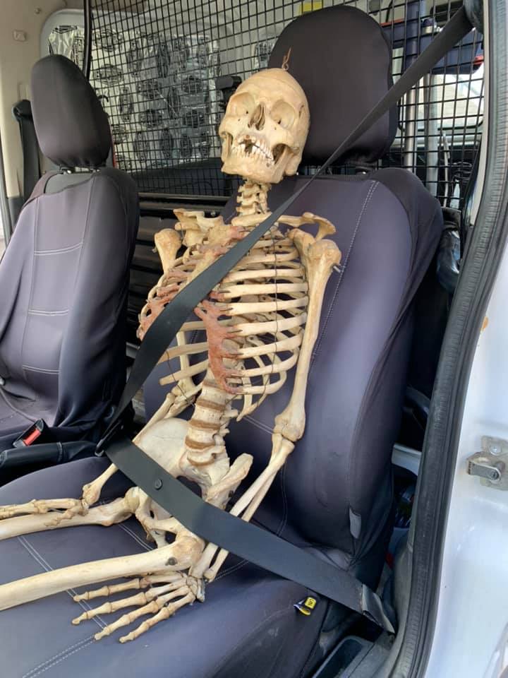 human skeleton sits in car seat with seatbelt on