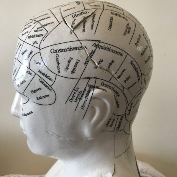 I glued my phrenology head back together after the possum encounter, and now he has more pronounced Ideality tendencies and a crack through his Acquisitiveness and Constructiveness. Photo credit Janet Lee